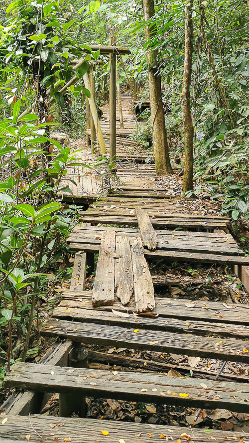 Guide to Inside of Bukit Batok Hillside Park