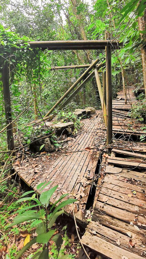 Guide to Inside of Bukit Batok Hillside Park