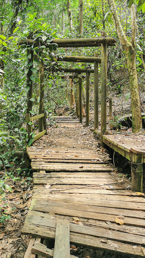 Guide to Inside of Bukit Batok Hillside Park