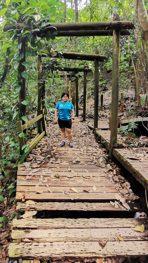 Guide to Inside of Bukit Batok Hillside Park