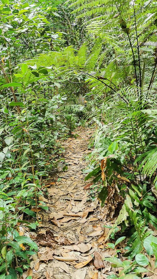 Guide to Inside of Bukit Batok Hillside Park