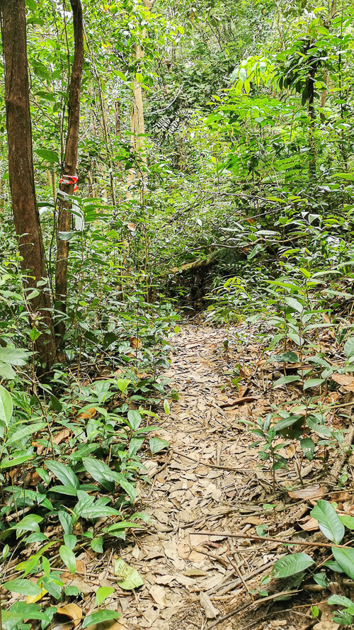 Guide to Inside of Bukit Batok Hillside Park