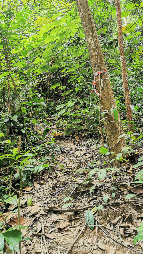 Guide to Inside of Bukit Batok Hillside Park