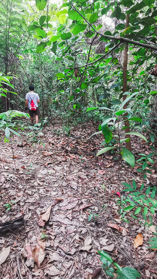 Guide to Inside of Bukit Batok Hillside Park