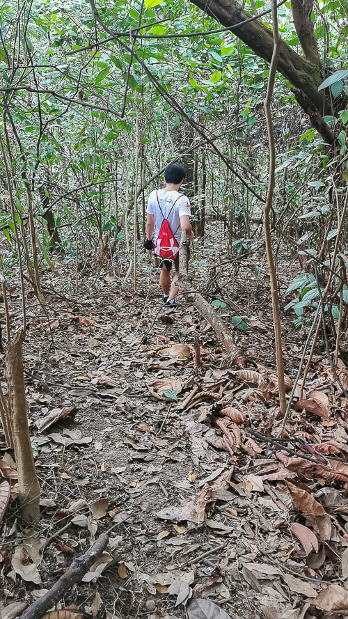 Guide to Inside of Bukit Batok Hillside Park