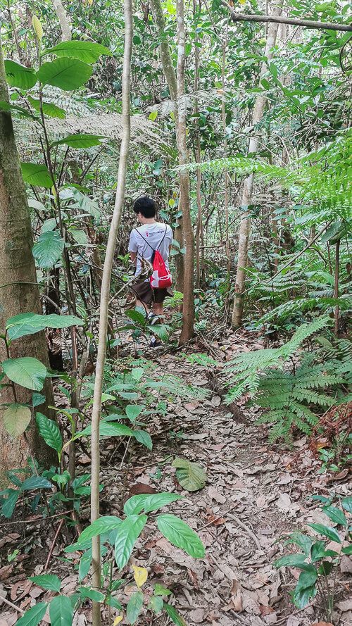 Guide to Inside of Bukit Batok Hillside Park