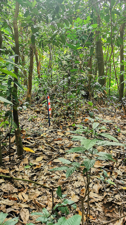 Guide to Inside of Bukit Batok Hillside Park