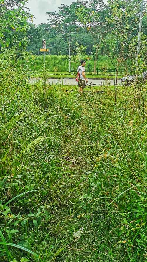 Guide to Inside of Bukit Batok Hillside Park