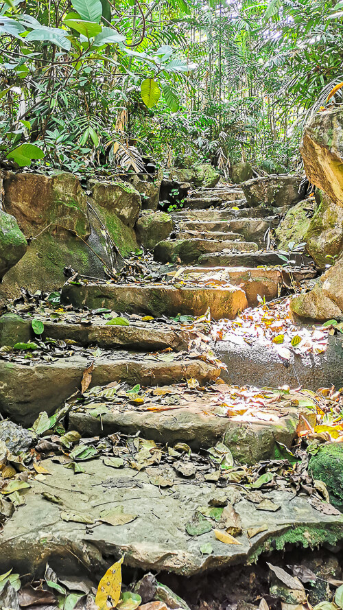 Guide to Inside of Bukit Batok Hillside Park