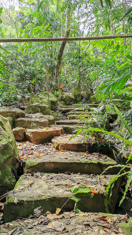 Guide to Inside of Bukit Batok Hillside Park