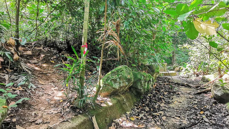 Guide to Inside of Bukit Batok Hillside Park