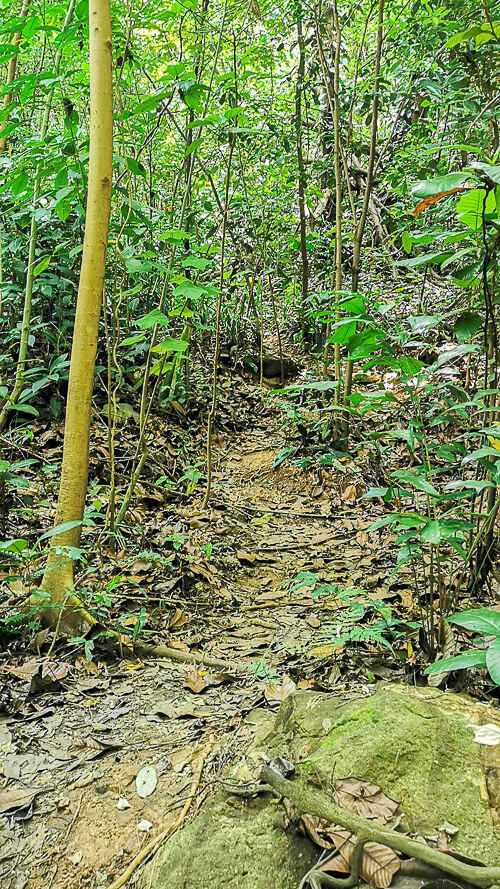 Guide to Inside of Bukit Batok Hillside Park