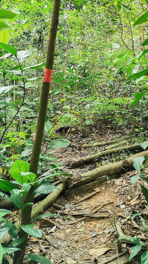 Guide to Inside of Bukit Batok Hillside Park