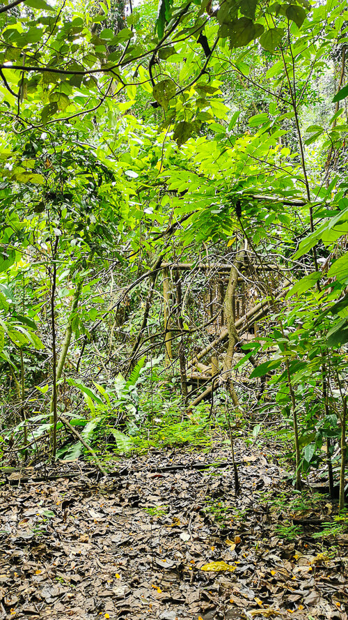 Guide to Inside of Bukit Batok Hillside Park