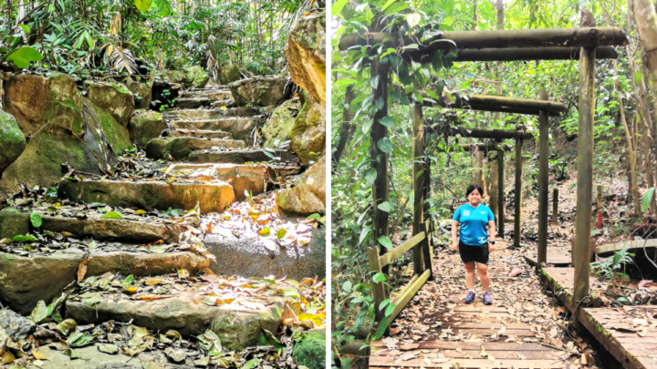 Hiking at Bukit Batok Hillside Park (include Trail Map)