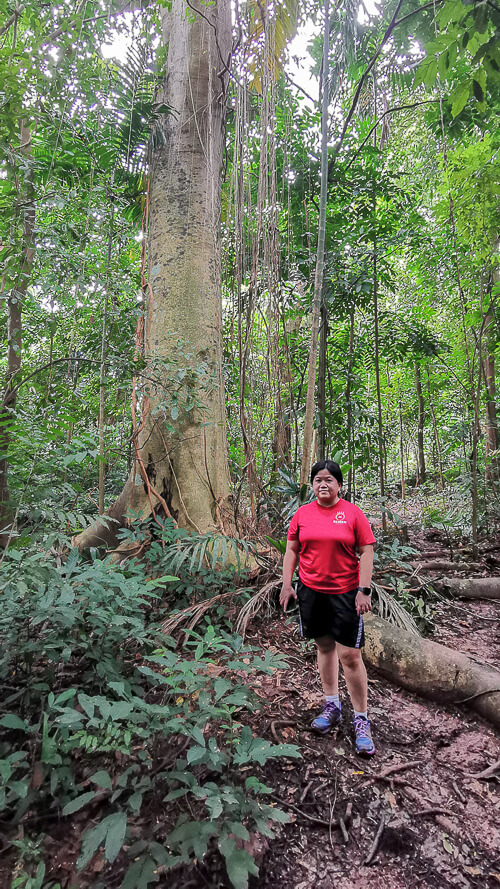 Inside Dover Forest East