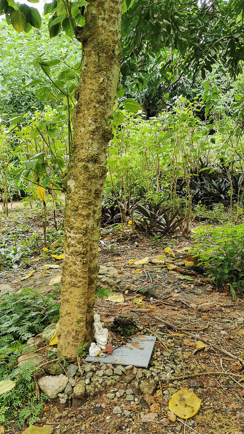 Inside Dover Forest East