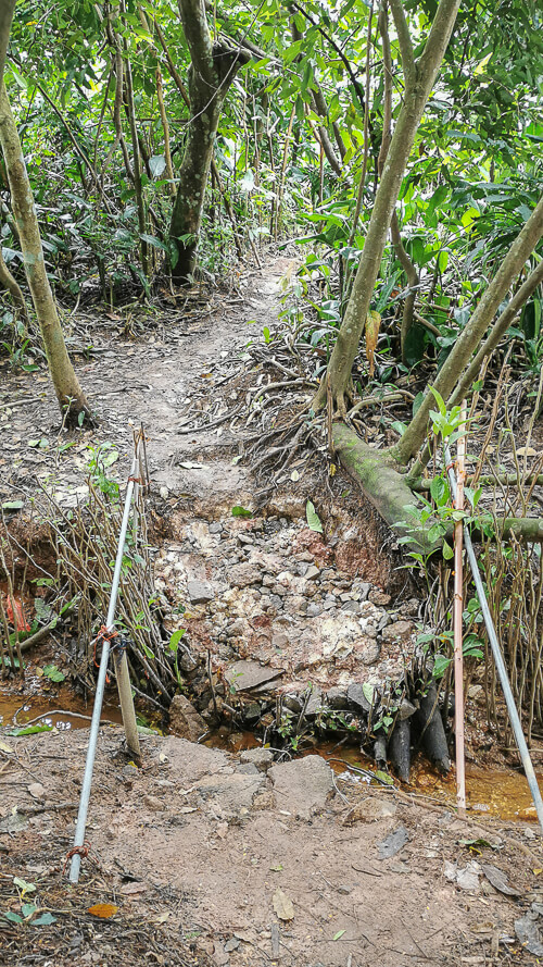 Inside Dover Forest East