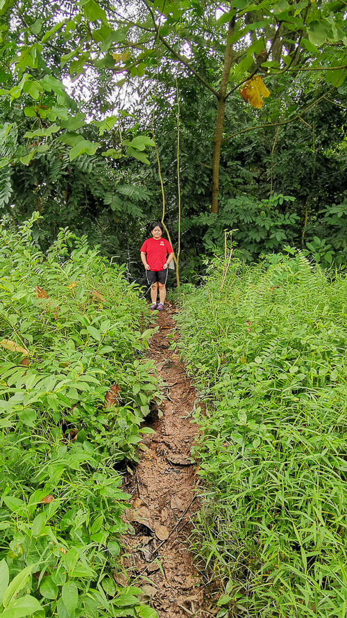 Inside Dover Forest East