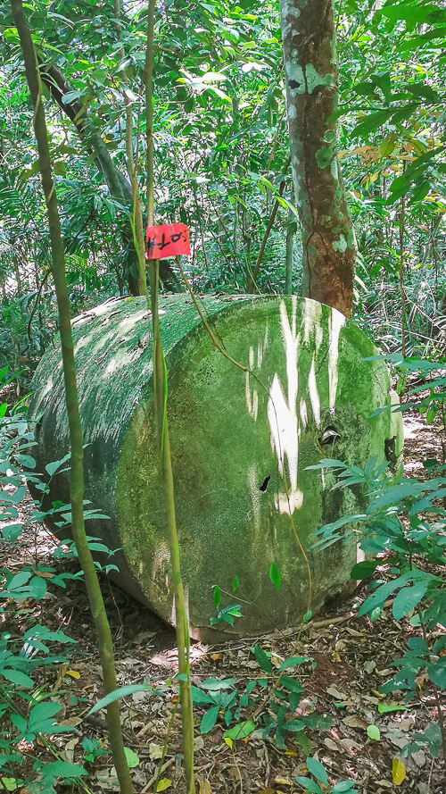 Inside Dover Forest West