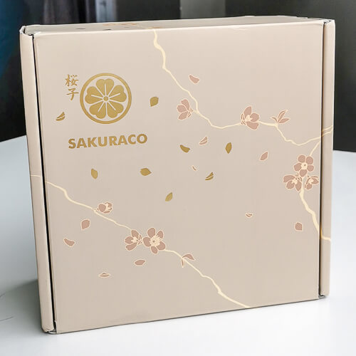 Sakuraco Review - Box