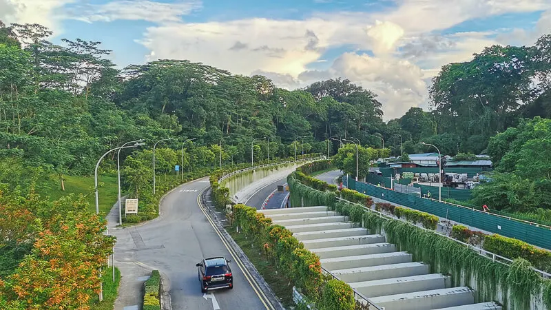 Coast to Coast Trail Singapore - Checkpoint Guide - CP4 to CP5 (3) - View of Lornie Highway