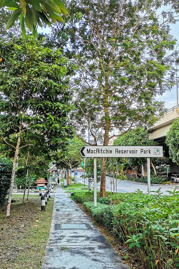 Coast to Coast Trail Singapore - Checkpoint Guide - CP4 to CP5 (8) - near MacRitchie Reservoir