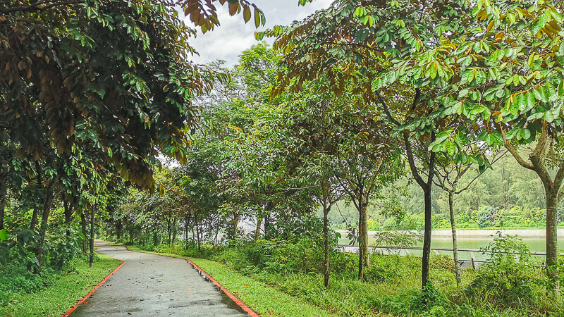Coast to Coast Trail Singapore - Checkpoint Guide - CP8 to CP9 (1) - Punggol Promenade Nature Walk