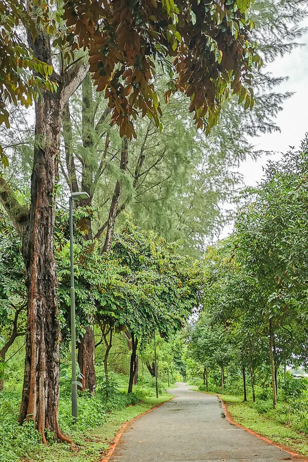 Coast to Coast Trail Singapore - Checkpoint Guide - CP8 to CP9 (2) - Punggol Promenade Nature Walk