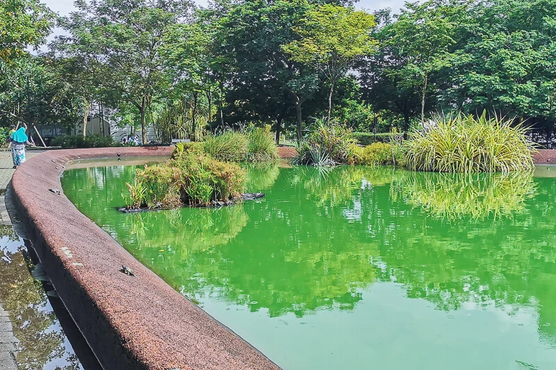 Coast to Coast Trail Singapore - Checkpoint Guide - CP9 to Bus Stop Punggol End Road (2) - Tortoise Pond at Punggol Point Park