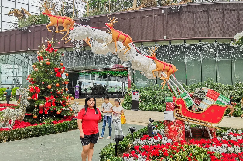 Christmas in Singapore 2022 - Flower Dome Gardens by the Bay