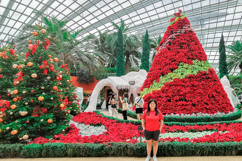 Christmas in Singapore 2022 - Flower Dome Gardens by the Bay