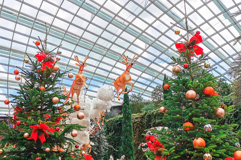 Christmas in Singapore 2022 - Flower Dome Gardens by the Bay