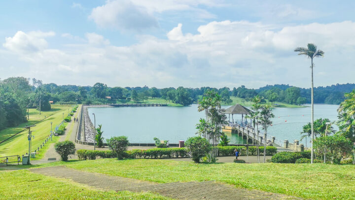 Complete Guide to Visiting Lower Peirce Reservoir, Singapore