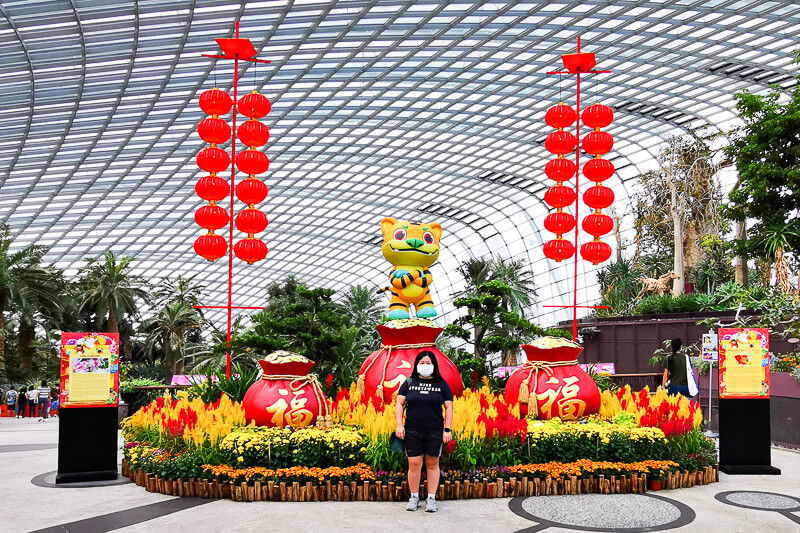 CNY 2022 Chinese New Year - Dahlia Dreams at Flower Dome Gardens by the Bay Singapore