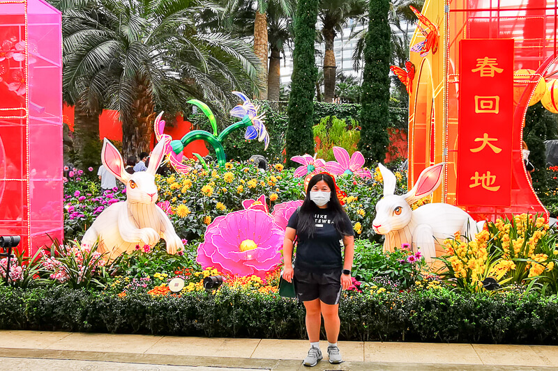 CNY 2022 Chinese New Year - Dahlia Dreams at Flower Dome Gardens by the Bay Singapore