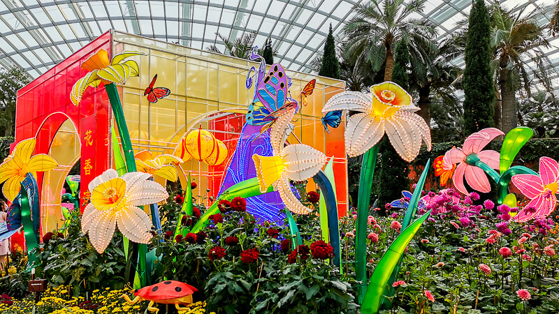 CNY 2022 Chinese New Year - Dahlia Dreams at Flower Dome Gardens by the Bay Singapore