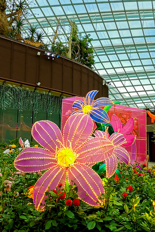 CNY 2022 Chinese New Year - Dahlia Dreams at Flower Dome Gardens by the Bay Singapore