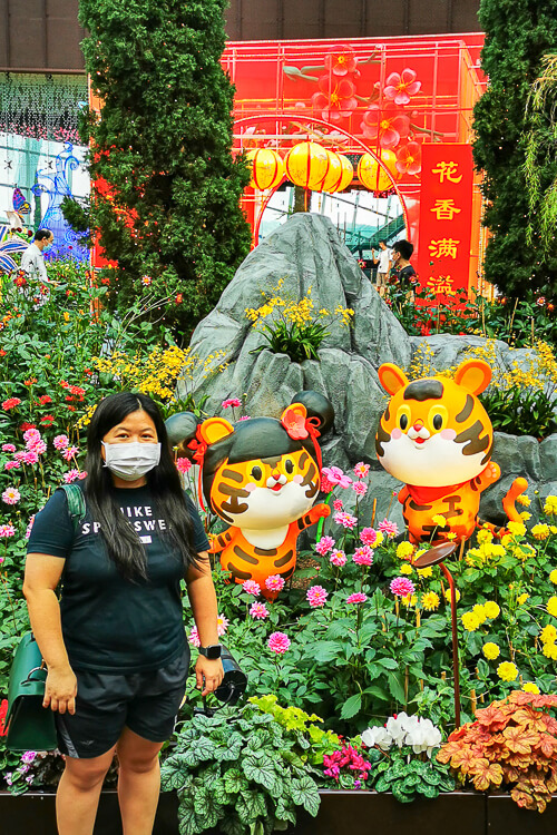 CNY 2022 Chinese New Year - Dahlia Dreams at Flower Dome Gardens by the Bay Singapore