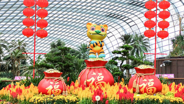 CNY 2022: Dahlia Dreams at Flower Dome, Gardens by the Bay