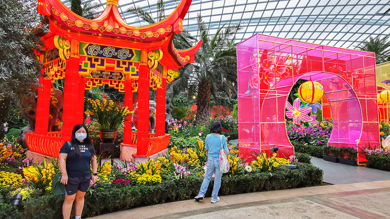 CNY 2022 Chinese New Year - Dahlia Dreams at Flower Dome Gardens by the Bay Singapore