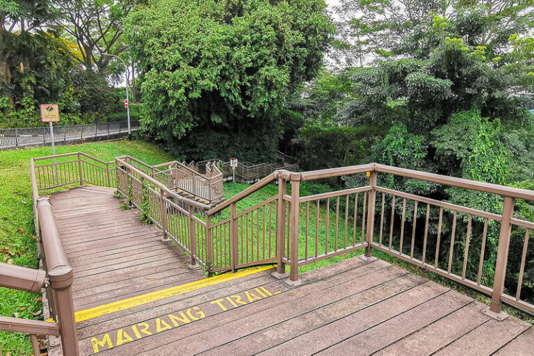 Complete Guide to Mount Faber Park, Singapore