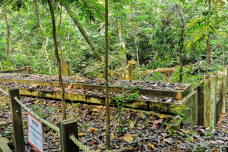 Thomson Nature Park - Langur Trail