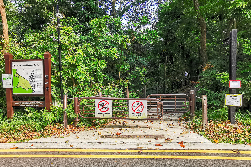 Thomson Nature Park - Langur Trail (4)