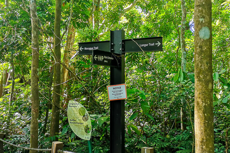 Thomson Nature Park - Langur and Macaque Trails