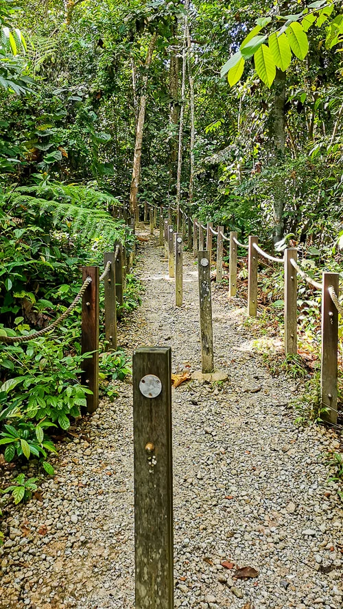 Thomson Nature Park - Macaque Trail