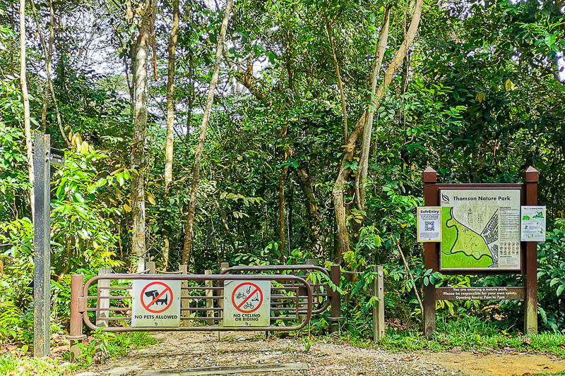 Thomson Nature Park - Macaque Trail (4)