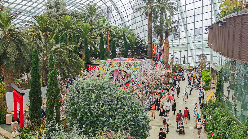 Gardens by the Bay - Sakura 2022 - Flower Field