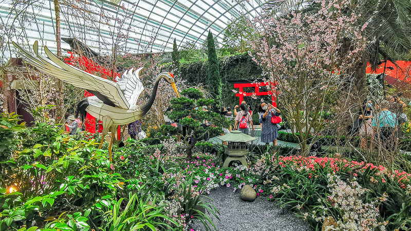 Gardens by the Bay - Sakura 2022 - Flower Field