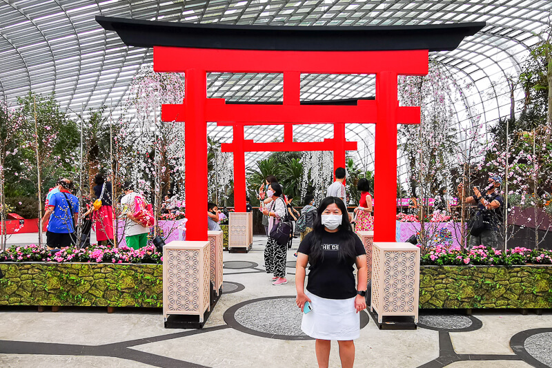 Gardens by the Bay - Sakura 2022 - Torii Gate